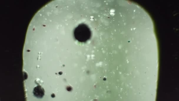 Framed Black Goo Teal Focus Bubbles Dramatically Drift Upward Looking — Stock Video