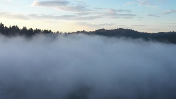 在加利福尼亚 无人驾驶飞机冲破云层 向人们展示布满红杉和松树的山脉 — 图库视频影像