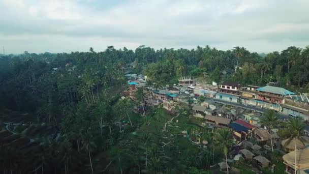 Drone Schot Vliegen Tegalang Rice Terraces Bali Indonesië — Stockvideo