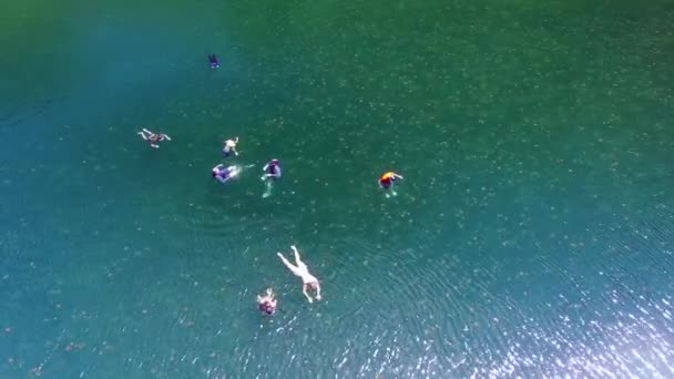 Aerial View Jellyfish Lake People Swimming Palau Micronesia — Stock Video