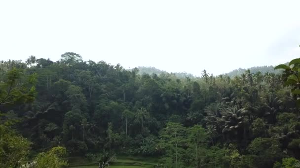 Drone Schot Vliegen Tegalang Rice Terraces Bali Indonesië — Stockvideo