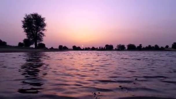 Vista Tramonto Lago Dubai — Video Stock