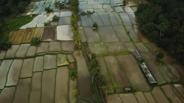 Panning Sestřelil Drona Nad Zatopenými Rýžovými Terasami Bali Indonésii Vodě — Stock video