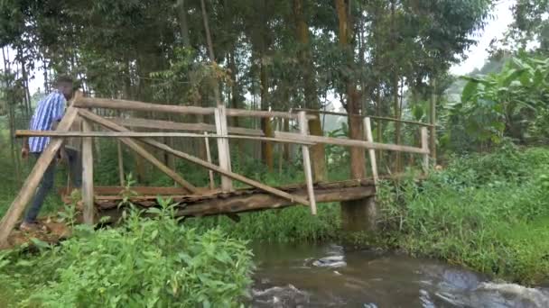 Sidobild Ung Afrikansk Man Som Går Över Liten Träbro Över — Stockvideo