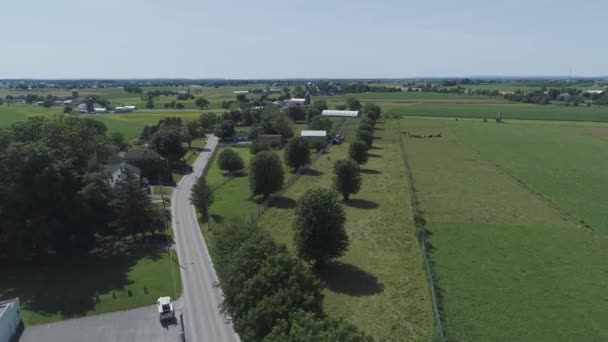 Luftaufnahme Eines Amish Horse Buggy Riding Entlang Der Straße Auf — Stockvideo