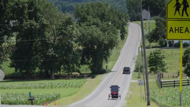 Amish Horse Och Buggy Riding Längs Vägen Landsbygden — Stockvideo