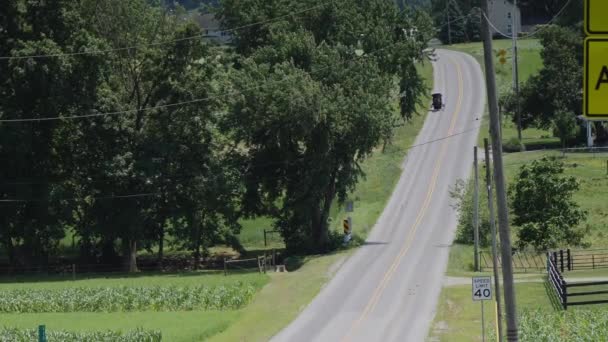 Cavalo Amish Buggy Equitação Longo Estrada Campo — Vídeo de Stock