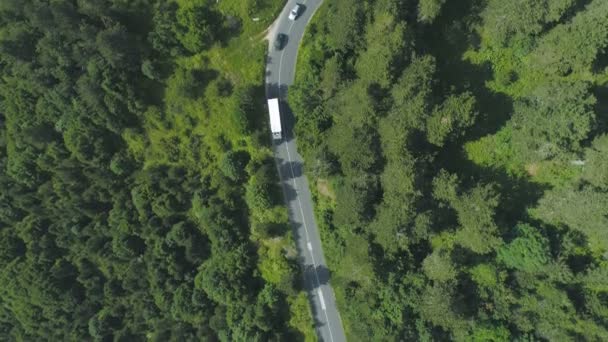 Beyaz Otobüsü Takip Eden Iki Araba Kıvrımlı Orman Asfalt Yolda — Stok video