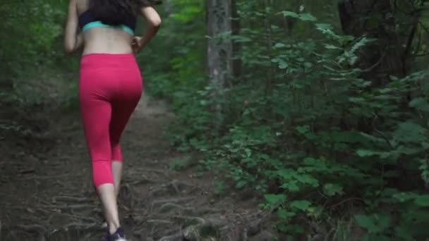 跟随女慢跑者在森林深处的小径上奔跑 — 图库视频影像