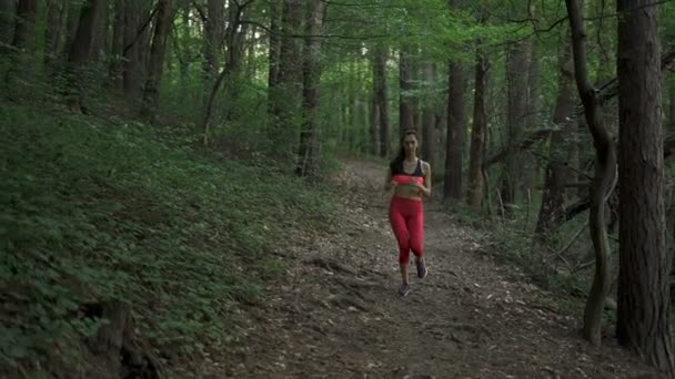 Mulher Fitness Correndo Por Caminho Floresta Vista Frontal — Vídeo de Stock