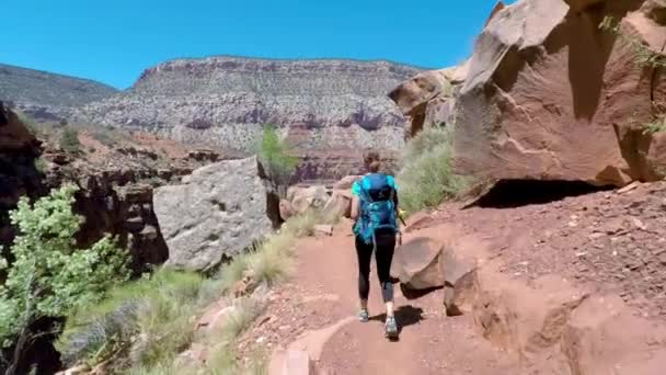 Caminhadas Mulheres Grand Canyon Saudável Estilo Vida Ativo Imagem Caminhadas — Vídeo de Stock