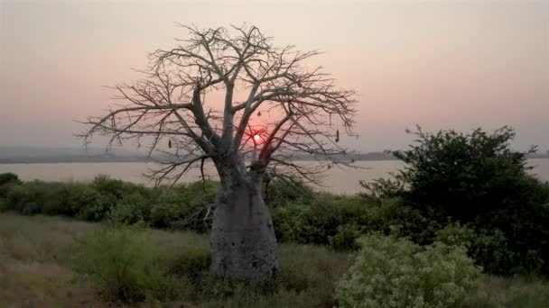 Angola Sonnenuntergang Drohnenaufnahmen Mubanga — Stockvideo