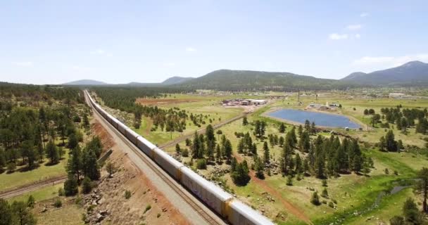Uzun Tren Batıya Doğru Gidiyor Williams Arizona Yakınlarındaki Arazide Kayboluyor — Stok video