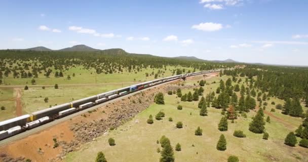 Aerial Passenger Train Passes Cargo Train Parallel Tracks Williams Arizona — Stock Video