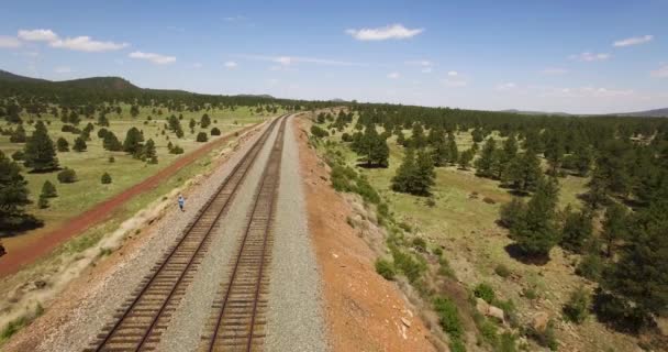 Samotny Mężczyzna Stojący Wzdłuż Równoległych Torów Kolejowych Niedaleko Williams Arizonie — Wideo stockowe