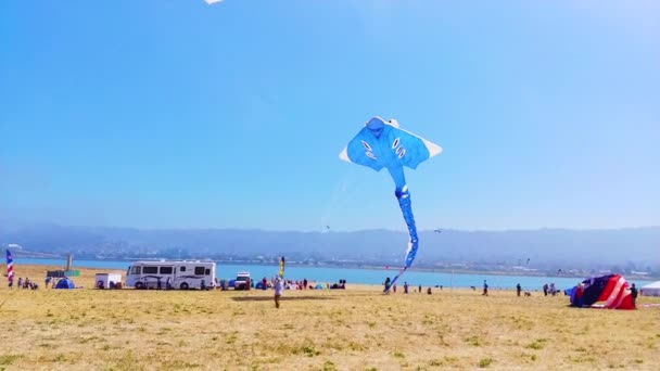 大型风筝气球在风中飘扬 用绳子挂在风筝节上 — 图库视频影像