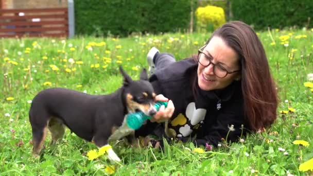 女士躺在草地上 玩着救援犬和吱吱作响的玩具 一头长长的黑发 西班牙救援狗 — 图库视频影像