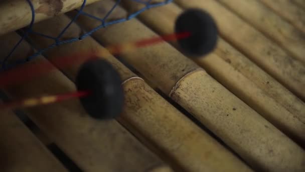 Slow Motion Handhållna Skott Någon Som Spelar Indonesisk Xylophone Detta — Stockvideo