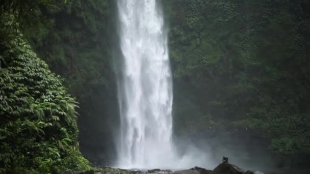 Lento Movimento Panning Shot Front Gushing Nungnung Waterfall Bali Indonesia — Vídeo de Stock