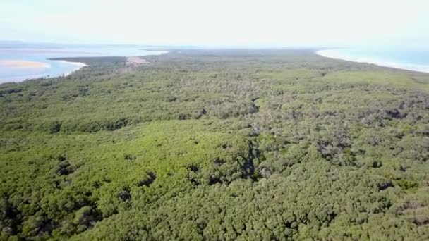 Drone Dessus Réserve Côtière Point Smythe Victoria Australie — Video
