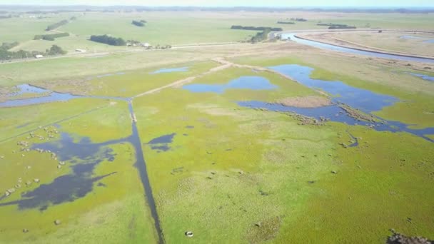 Vista Aérea Sobre Los Campos Agrícolas Inundados Tarwin Lower Victoria — Vídeos de Stock