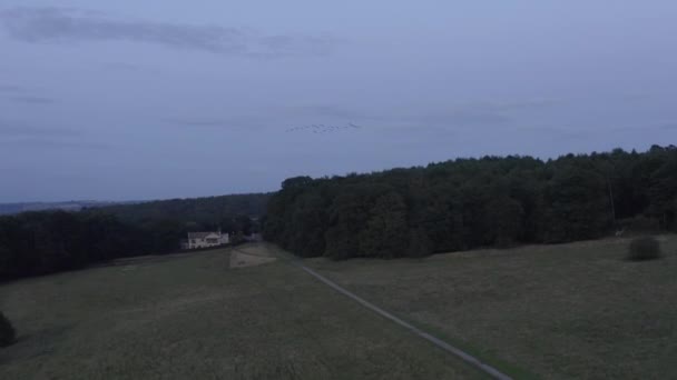 Stigande Antenn Skott Kanada Gäss Flyger Förbi Skymningen — Stockvideo