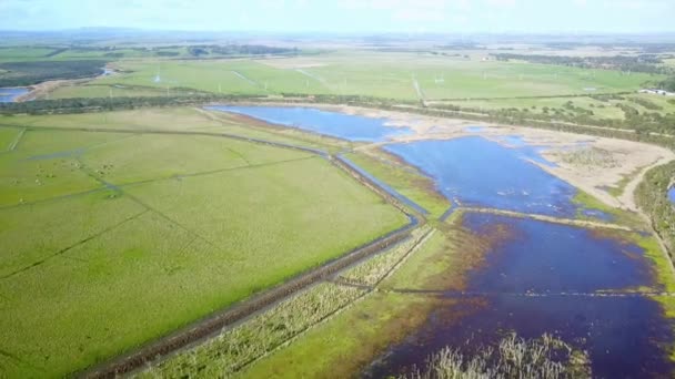 オーストラリア ビクトリア州ターウィン ローワー近くのターウィン川の隣の浸水した農地の空中ビュー — ストック動画