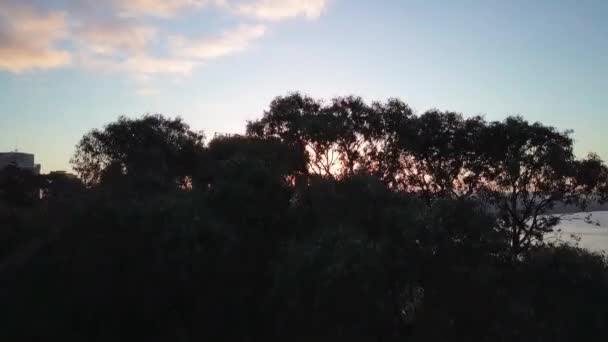 Zdjęcie Lotu Góry Drzewa Perth Cbd Skyline Wschodzie Słońca Ruchem — Wideo stockowe