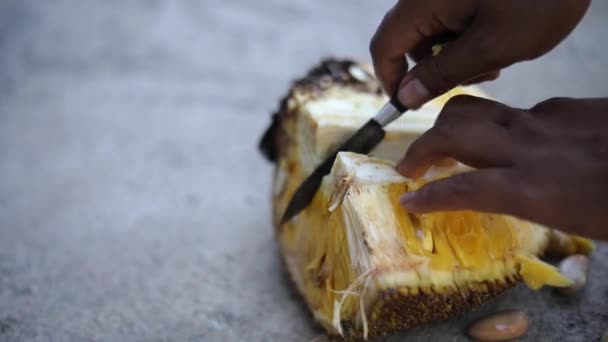 Handgehaltene Zeitlupenaufnahme Eines Indonesischen Mannes Der Eine Jack Frucht Schneidet — Stockvideo