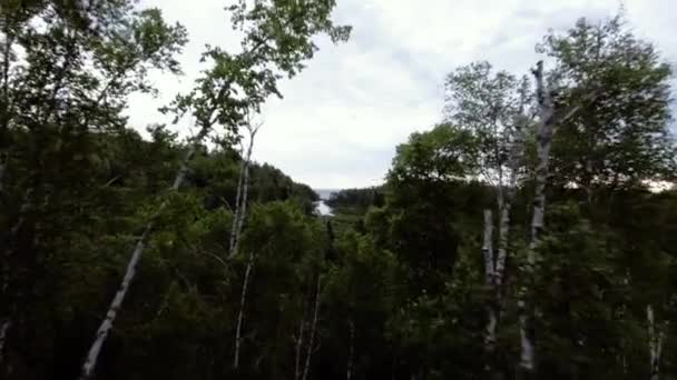 空中飞越绿林 — 图库视频影像