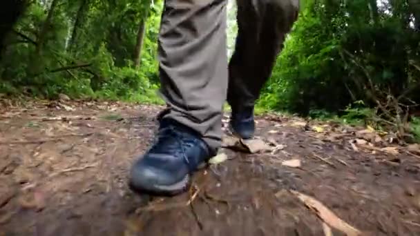 Ein Mann Der Dschungel Spaziert Die Kamera Auf Seine Beine — Stockvideo