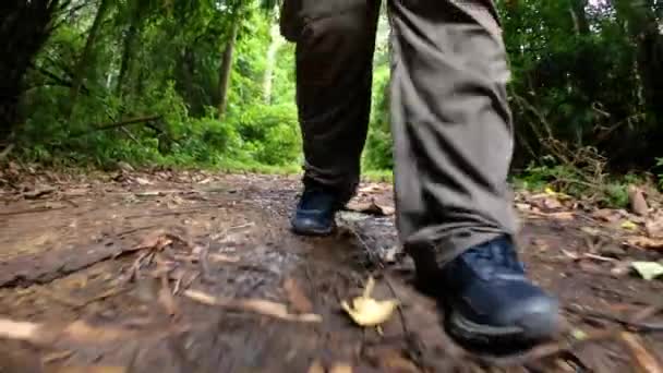 Muž Kráčející Džunglí Kamerou Zaostřenou Nohy Ukazující Jak Kráčí Prašné — Stock video