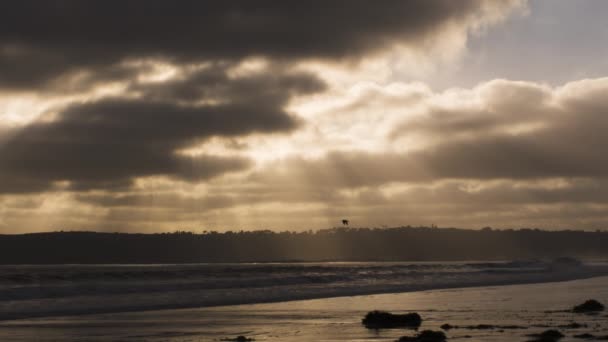 Waves Break Slow Motion Seagull Passing Coronado California Beach Sunset — Stock Video