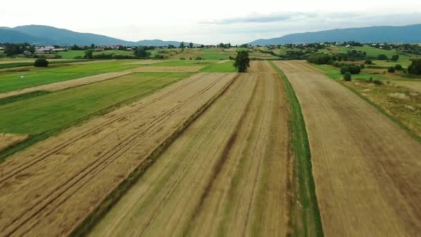 Hochgeschwindigkeits Luftaufnahme Von Feldern Und Bergen Hintergrund — Stockvideo