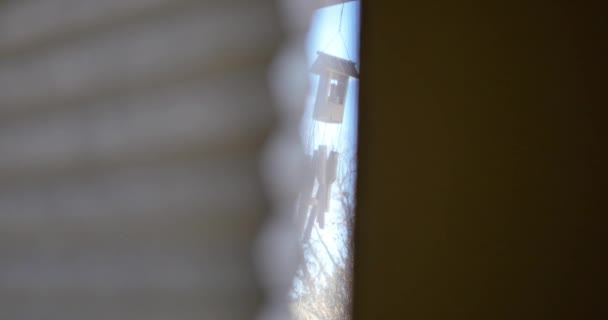 在风中吹拂的门廊上的风铃 透过薄薄的窗户的盲侧缝隙看到的风铃 — 图库视频影像