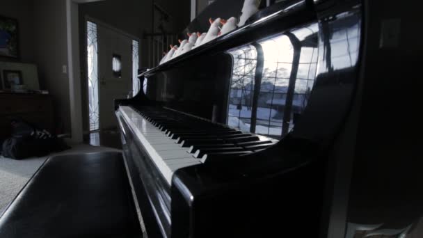 Egy Zongora Kulcsokkal Keretben Téli Háttér Tükröződik Műszer — Stock videók