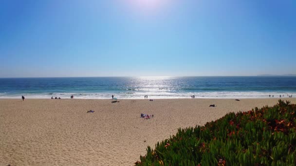 바다와 모래와 사람들 과아름다운 캘리포니아의 포인트 캘리포니아 반월만은 샌프란시스코 남쪽으로 — 비디오
