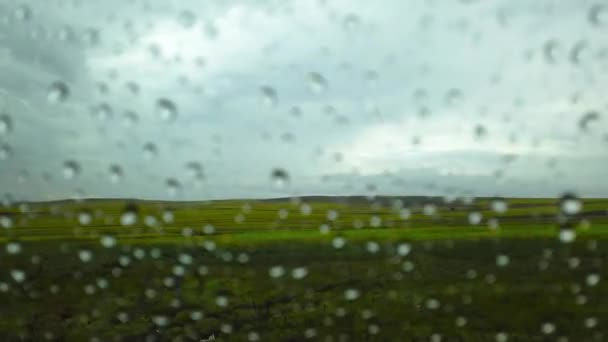 Chuva Cair Sobre Vidro Carro Vista Campo Através Janela Carro — Vídeo de Stock