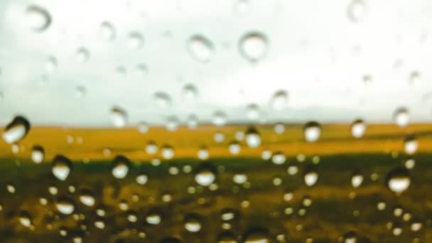 Langsom Bevægelse Regn Dråbe Bilruden Markudsigt Gennem Bilvinduet Med Regndråber – Stock-video