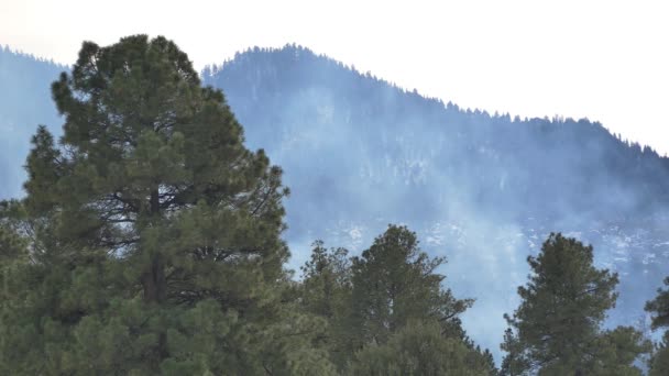 Fumaça Subindo Desde Início Incêndio Florestal Nas Montanhas — Vídeo de Stock
