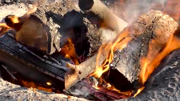 Primo Piano Fuoco Che Brucia Una Fossa Cemento — Video Stock