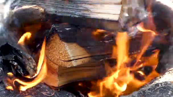 Nahaufnahme Eines Brennenden Feuers Einer Betongrube — Stockvideo