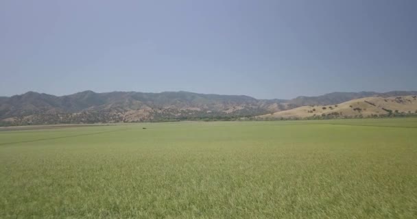 Ländliches Ackerland Luftaufnahmen Von Weitläufigen Grünen Anbauflächen Und Goldenen Hügeln — Stockvideo