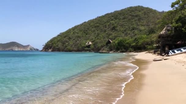 Καμπίνες Μια Άγρια Παραλία Στην Καραϊβική Μια Ηλιόλουστη Μέρα — Αρχείο Βίντεο