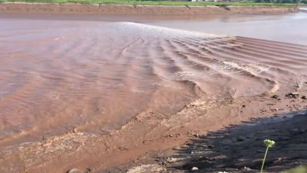 Ondas Onduladas Desde Orificio Marea Moncton Nuevo Brunswick — Vídeos de Stock