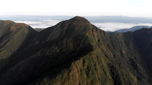 Letectvo Blíží Vrcholu Tropické Hory Deštného Pralesa Pico Caratuva Brazílie — Stock video