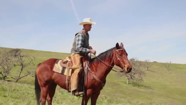 Mit Einem Trick Über Kopf Steigt Der Cowboy Vom Pferd — Stockvideo