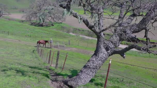 Cow Boy Solitaire Descend Son Cheval Pour Ouvrir Une Grille — Video