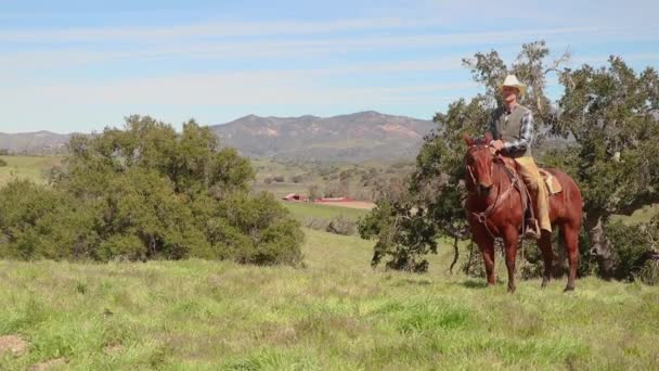 カウボーイは遠くに納屋がある緑のカリフォルニアの丘の上に馬に乗っている — ストック動画