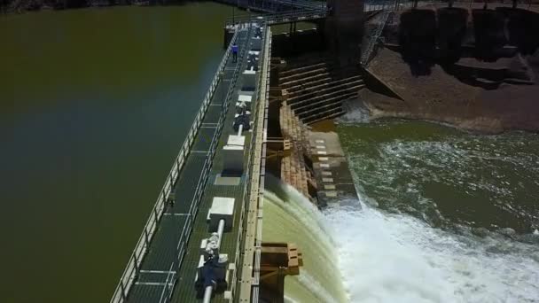 Spaziergänger Goulburn Weir Victoria Australien — Stockvideo